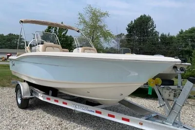 Scout 195 Sport Dorado