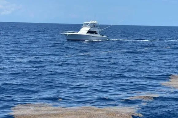 Wild Life Yacht Photos Pics 1989 Viking 45 Convertible yacht cruising on open ocean waters.