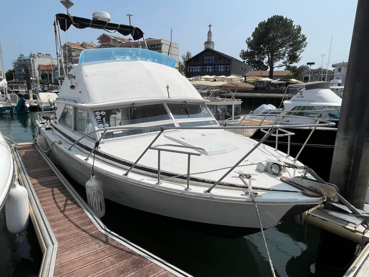 Bertram Bertram 28 Flybridge | 8m | 1975 - 38 - Isère | Boats and Outboards