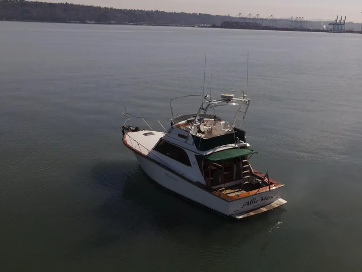 Allie Marie Yacht Photos Pics 