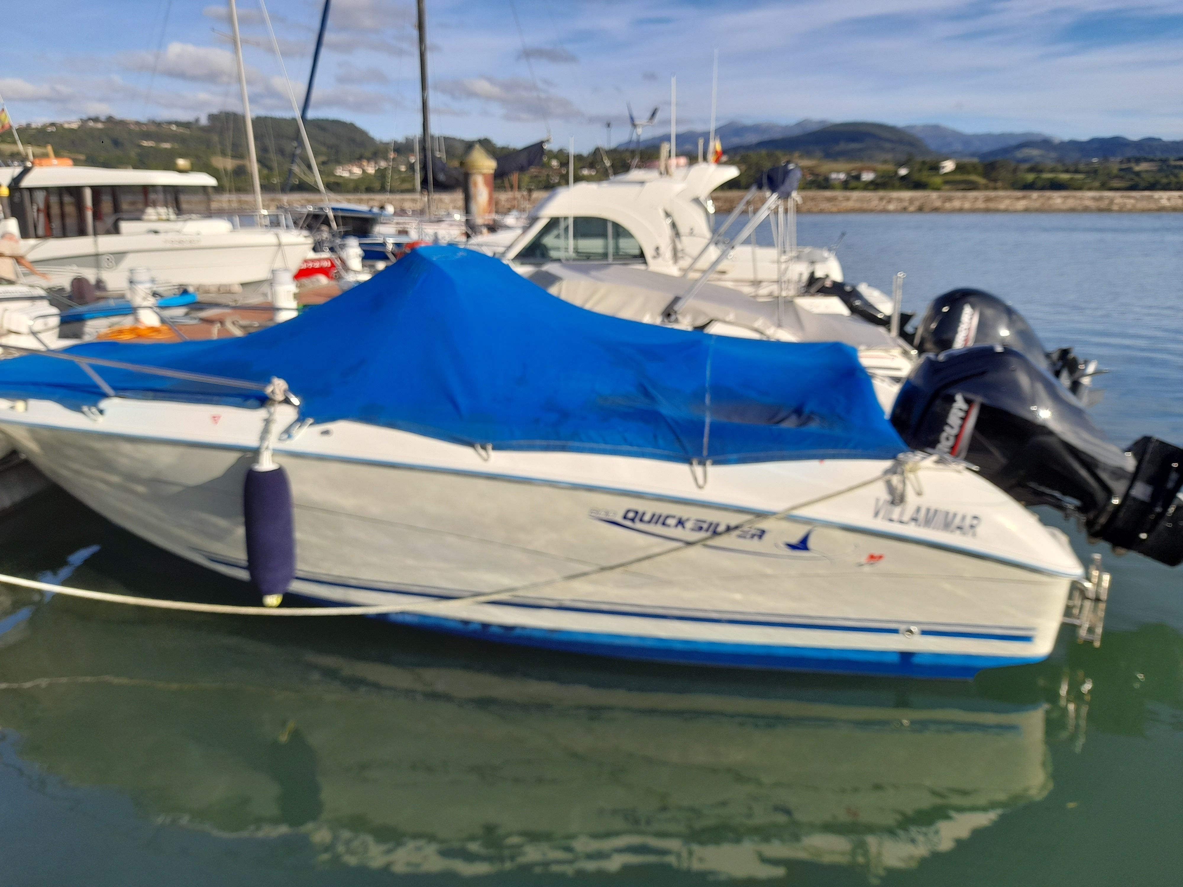 2006 Quicksilver Comander 600