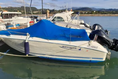 2006 Quicksilver Comander 600