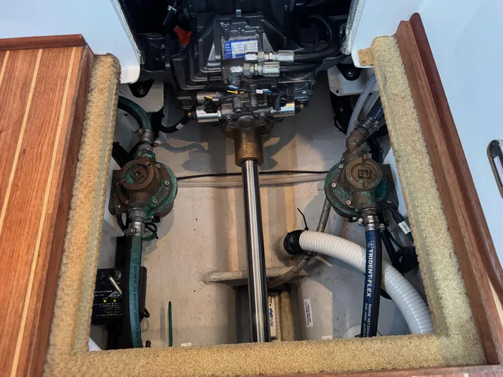 Pharm Life Yacht Photos Pics 