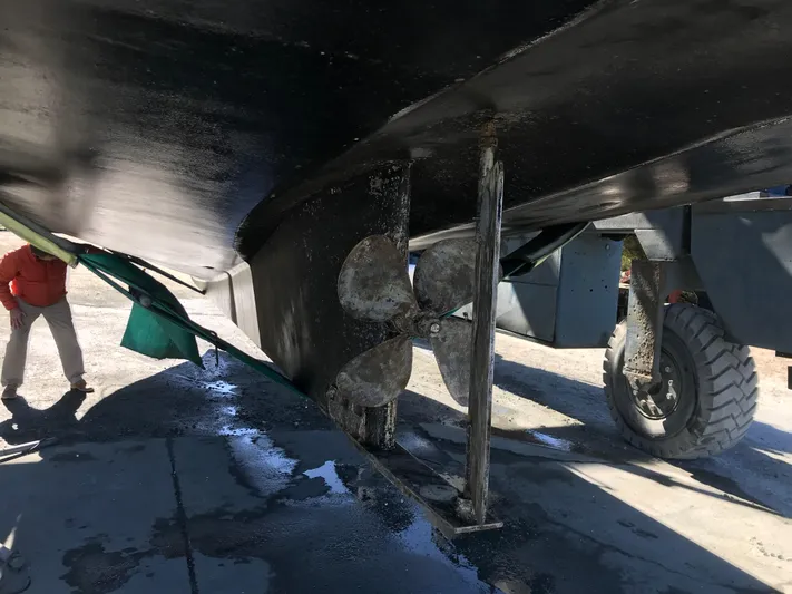 Pharm Life Yacht Photos Pics 