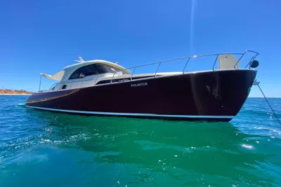 Mochi Craft 51 Dolphin