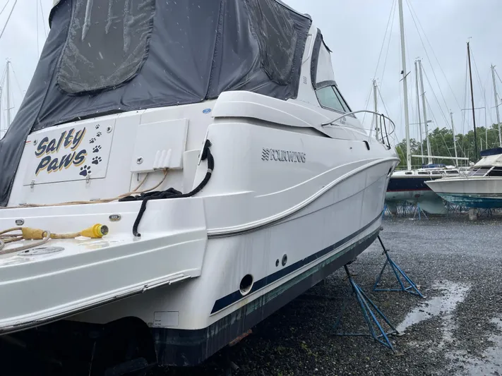 Salty Paws Yacht Photos Pics 