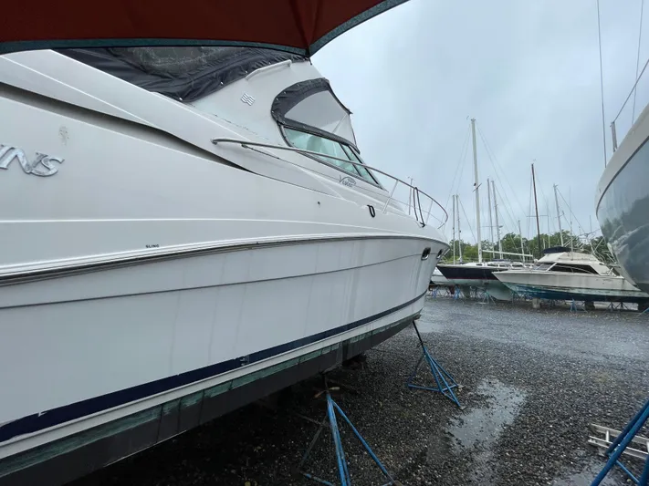 Salty Paws Yacht Photos Pics 