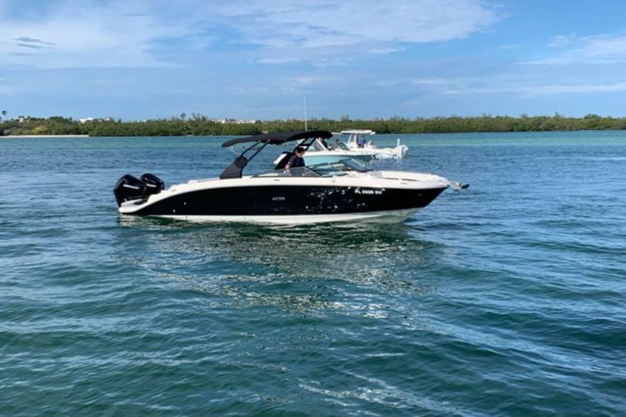2021 Sea Ray SDX 290 Outboard