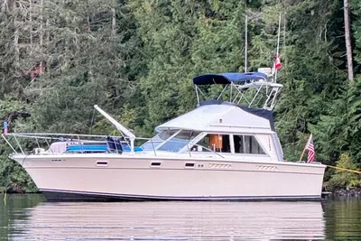 American Marine Laguna