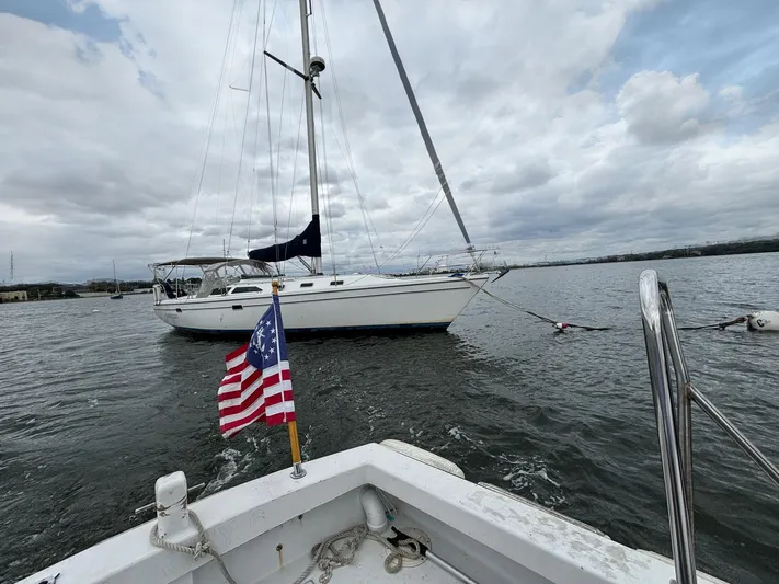 Unbridled Yacht Photos Pics 
