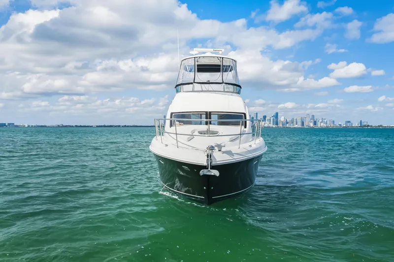 Deep Blue Yacht Photos Pics 2008 Sea Ray 36 Sedan Bridge yacht on open water with city skyline.