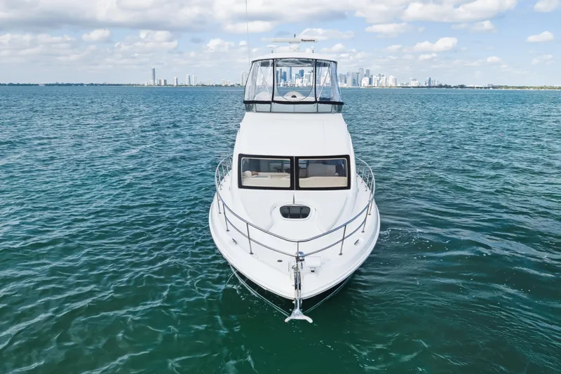 Deep Blue Yacht Photos Pics 2008 Sea Ray 36 Sedan Bridge yacht on open water with city skyline.