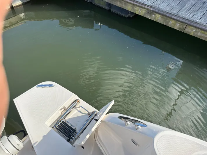 Vinovoyager Yacht Photos Pics 2021 Regal 42 FXO boat with swim platform and ladder by the water.