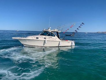 2010 31' Pursuit-OS 315 Offshore Los Barriles BCS, MX