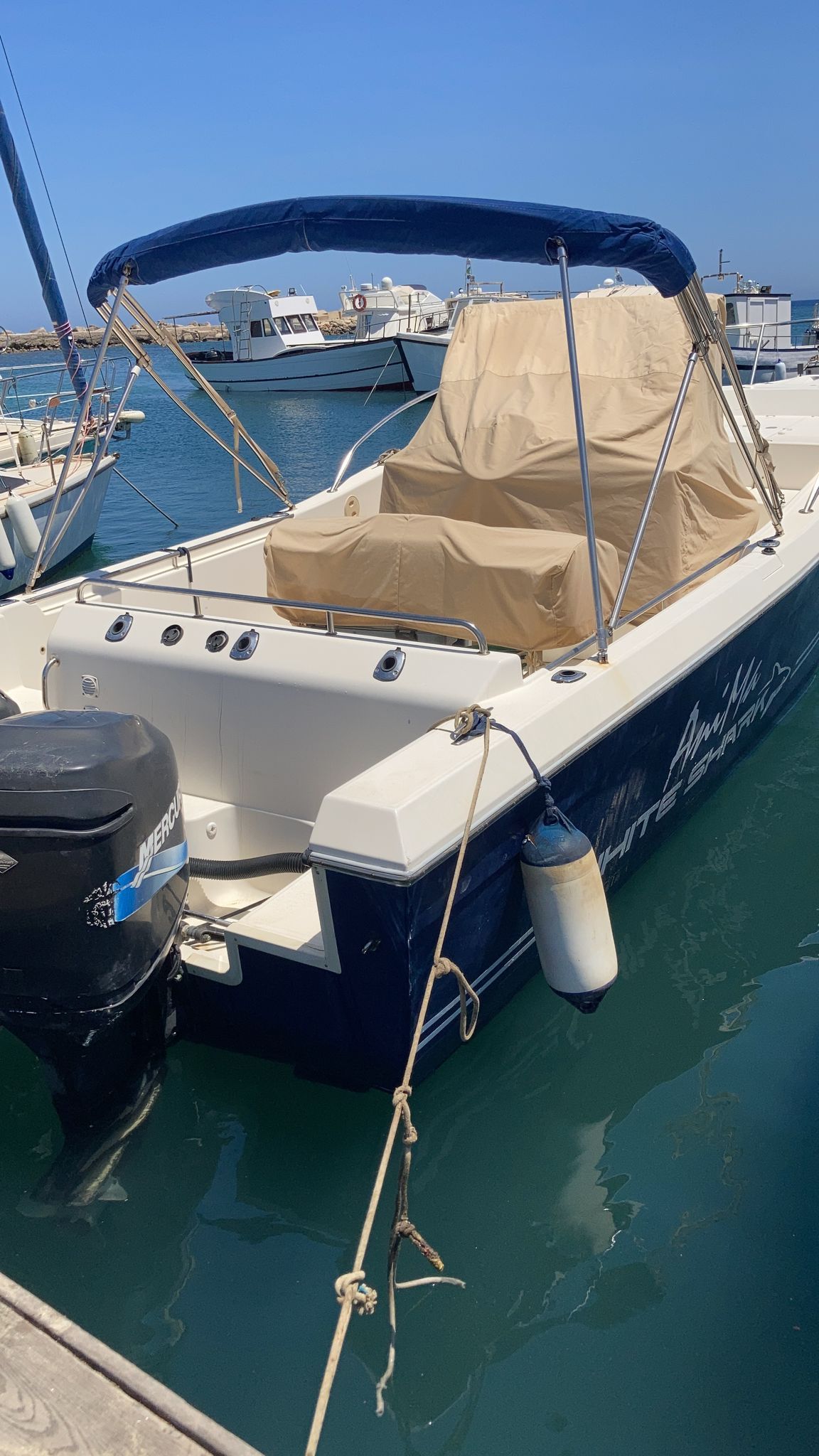 2005 Custom White shark 285