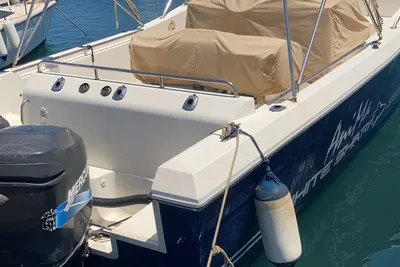 2005 Custom White shark 285