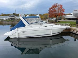 2001 Wellcraft 2600 Martinique