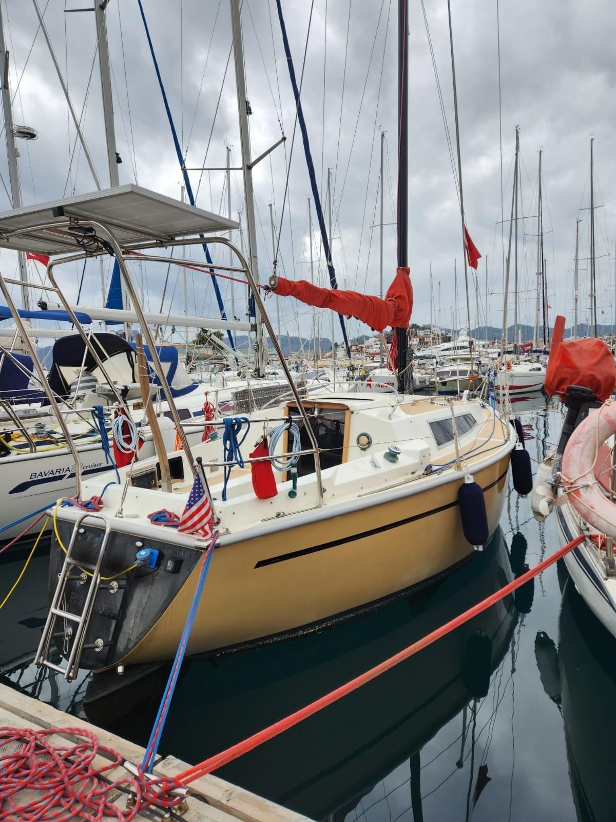 cobra 850 yacht