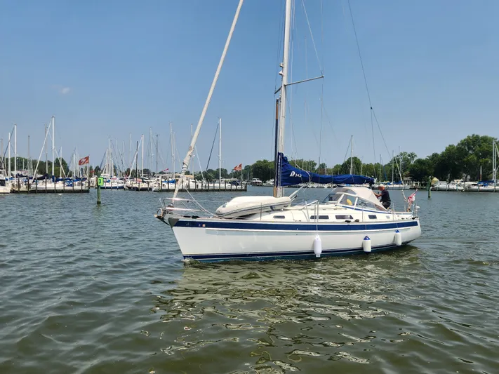 Ceres Yacht Photos Pics 2016 Hallberg-Rassy 342 sailboat docked in a marina under clear blue skies.