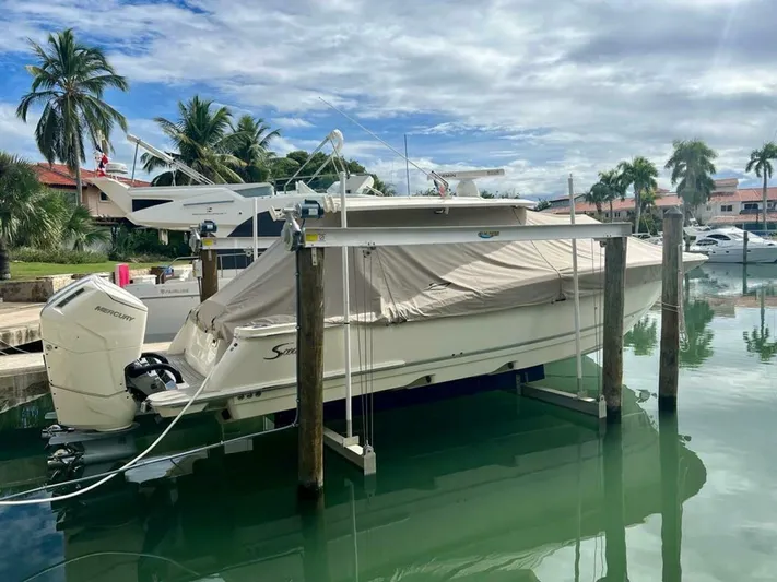  Yacht Photos Pics 2023 Scout 377 LXF boat docked with cover, surrounded by palm trees and calm water.