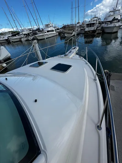  Yacht Photos Pics 2021 Grady-White Express 370 docked in a marina, surrounded by other boats.