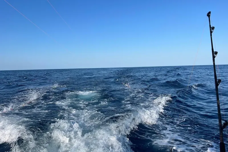 Black Bart Yacht Photos Pics Open ocean view from a 1998 Henriques 28 Express boat, with fishing rod visible.