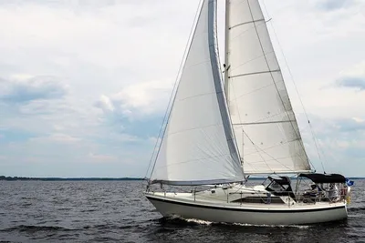 Tanzer 31