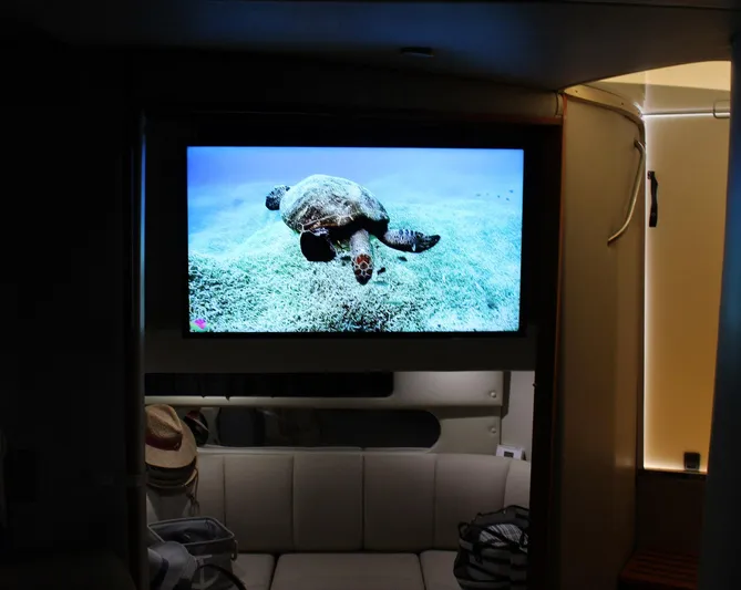 Happy Ours Yacht Photos Pics 2008 Chaparral 350 Signature cabin with TV displaying a sea turtle underwater.