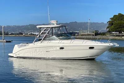 Sea Ray 290 Amberjack