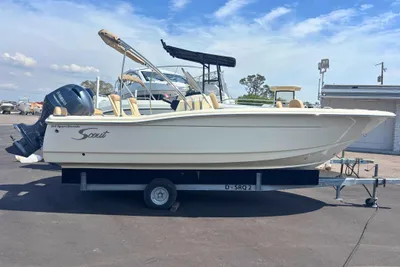 Scout 195 Sport Dorado