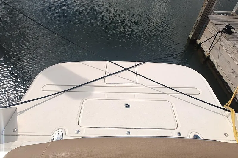 Yacht Photos Pics 2017 Sea Ray Sundancer 310 swim platform at dock, secured with ropes.