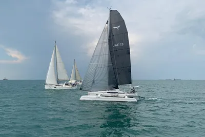 Dragonfly DF 28 PERFORMANCE