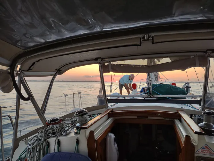 Whodogi Yacht Photos Pics 