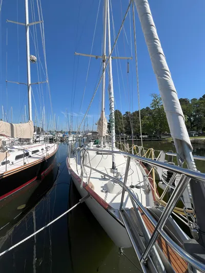 Whodogi Yacht Photos Pics 