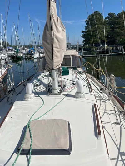 Whodogi Yacht Photos Pics 