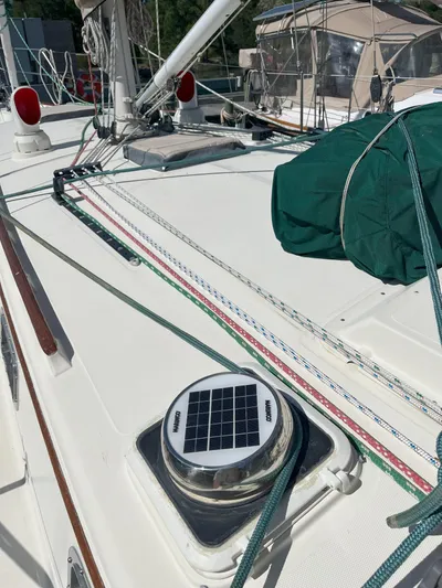 Whodogi Yacht Photos Pics 