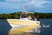 2023 Bluewater Sportfishing 2350