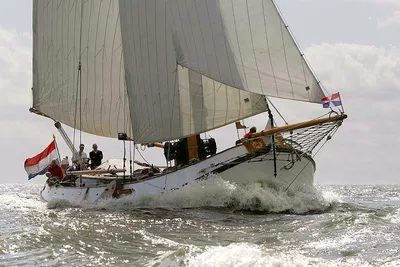 1911 Lemsteraak Aukje Zwaantje