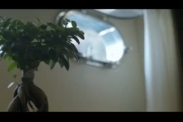 Video Placeholder