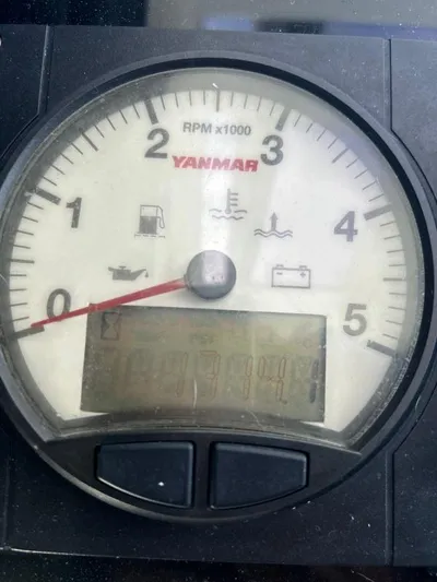 2 Black Sheep Yacht Photos Pics 