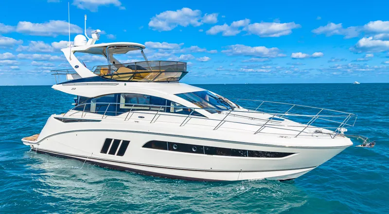 Business Casual Yacht Photos Pics 