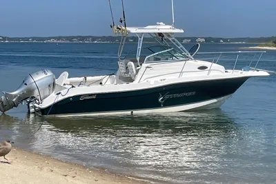 Seaswirl Striper 2301 Walkaround OB