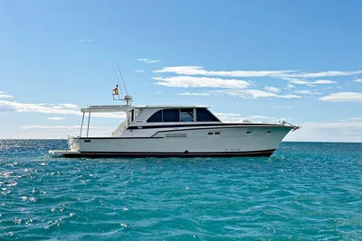 1982 Bertram 46 Convertible