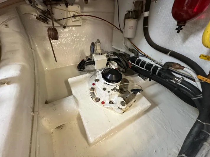 Safari Yacht Photos Pics 