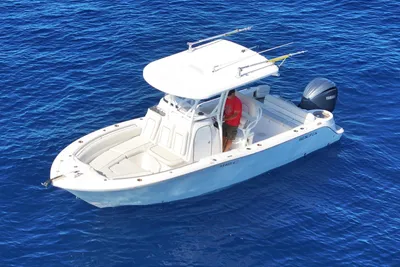 Sea Fox 249 Avenger