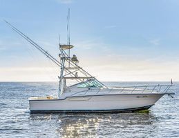 1996 43' Tiara Yachts-4300 Open Orange Beach, AL, US