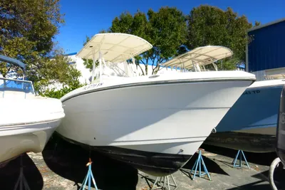 Cobia 237 CC