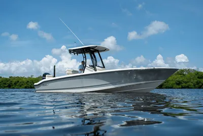 Boston Whaler 250 Dauntless