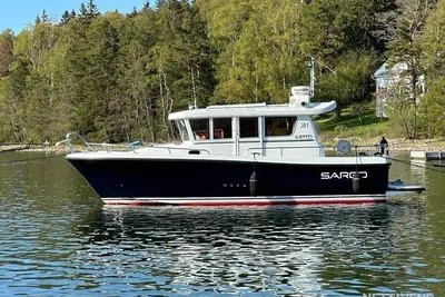 Sargo 31