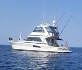 2001 Riviera Motor Yacht